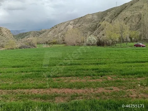 Acil Satılık Tarla