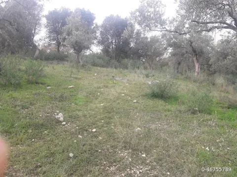 SAHİBİNDEN SATILIK AYDIN DİDİM AKYENİKÖY ÇATALALAN DERİNKUYU MEVKİİNDE  VİLLA ARSASI