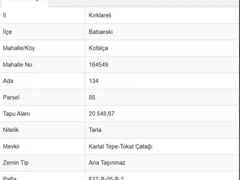 Kırklareli Babaeski kofalca köyü satılık 20 dönüm tarla