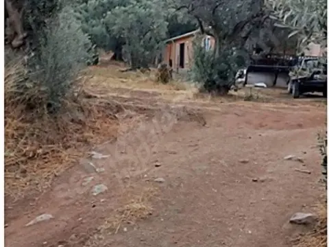 Yalova Armutlu'da Müstakil Tapulu Kupon Arsa