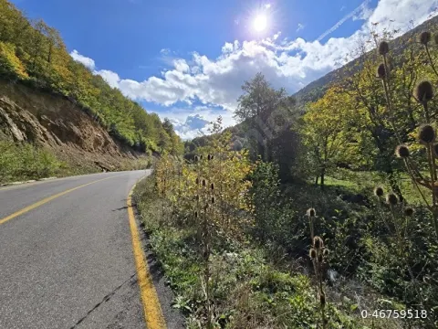 Sakarya Pamukova