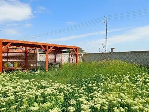 uygun fiyatlı 1462 m2 konut arsa duvar koski suyu