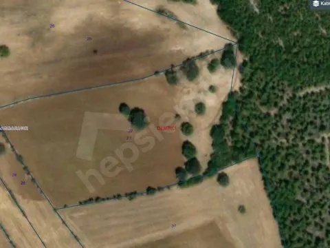 TEK TAPU  DÜZ ARAZİ  14,200 M2