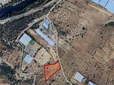 RESMİ YOLLU, SERALARIN İÇİNDE, VERİMLİ 5.3 DÖNÜM MÜSTAKİL TAPULU