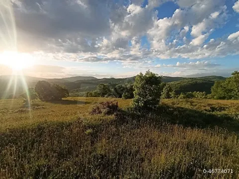 Satılık 5436 m2 Tarla