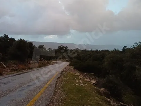 Muğla Milas Ana Yola Sıfır