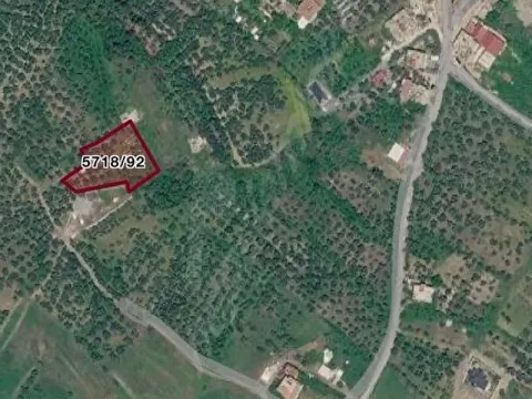 Ekinci mahallesi otogara kaymakamlığa yakın konumda zeytinlik
