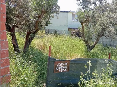 bursa Mudanya Mesudiye arsa