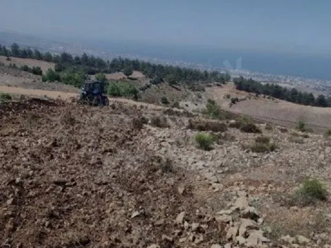 UYGUN PARSEL