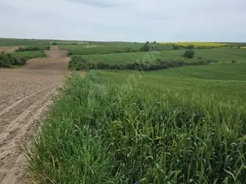 3500 m2 Tek Tapu Acil Sahibinden Satılık