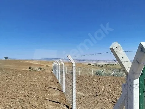 Tukumtaşta acil satılık imarlı arsa