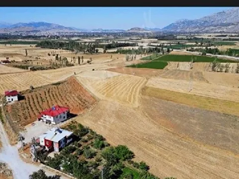 Göksun Taşoluk MH SATILIK sulak arazi