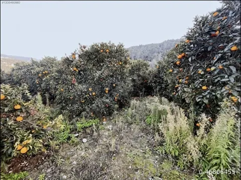 Mezitli Takanlı bölgesinde 1918m² bahçe