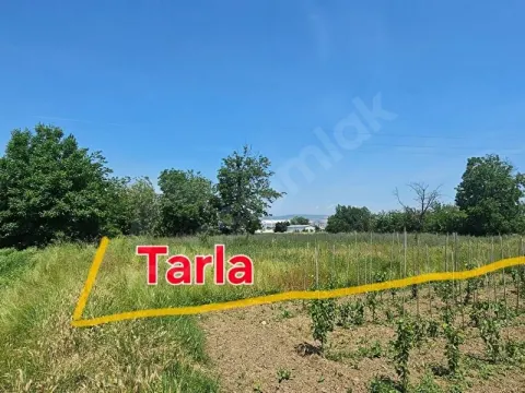 Sahibinden Satılık Tarla- Müstakil Tapu, Resmi Yol, Elektrik, Su