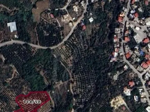 Acil Sahibinden Bakımlı Portakal Bahçesi