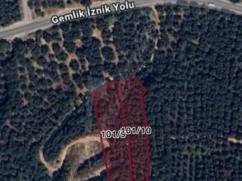 Narlıca gemlik iznik yoluna çok yakın yatırımlık arazi