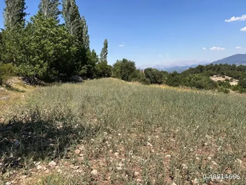 Köşe parsel merkeze yakın yatırımlık