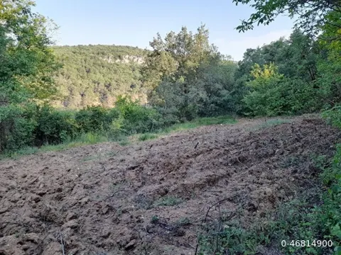 Bilecik Gökpınar köyünde sahibinden satılık tarla