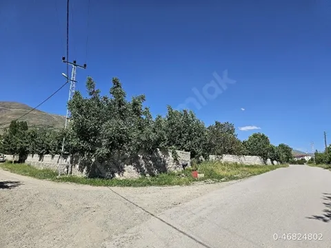 MERKEZİ KONUMDA SATLIK BAKIMLI SULU TARLA KULLANIMLIK/YATIRIMLIK FIRSAT