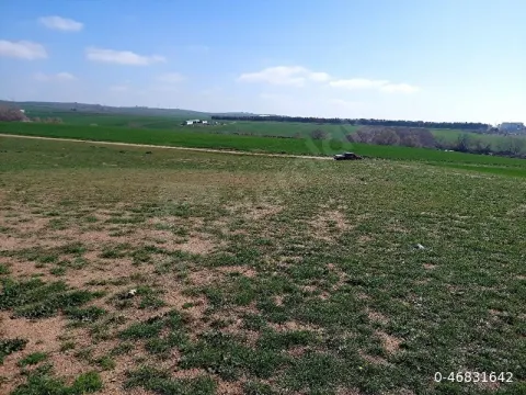 ACİL SATILIK MARMARAEREĞLİSİN DE KONUMU ÇOK İYİ TARLA...