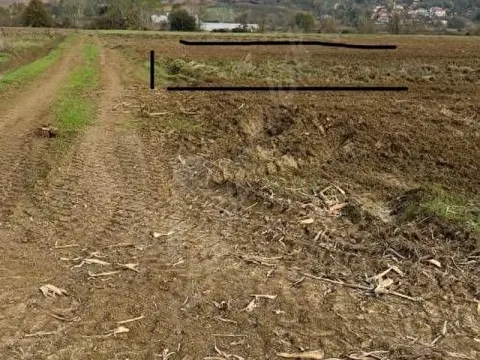 Kandıra Ferizli'de Yola Yakın 125 m² Satılık Tarla