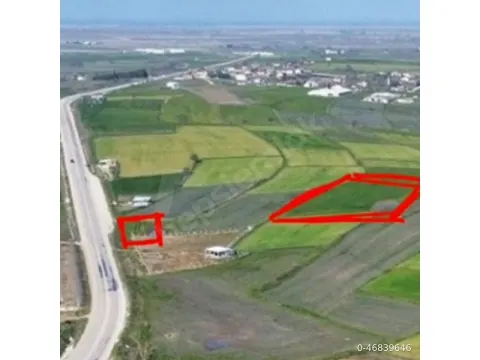 Karabiga yoluna bitişik ve yüksek konumlu 2 Tarla Toplam:6146 m2