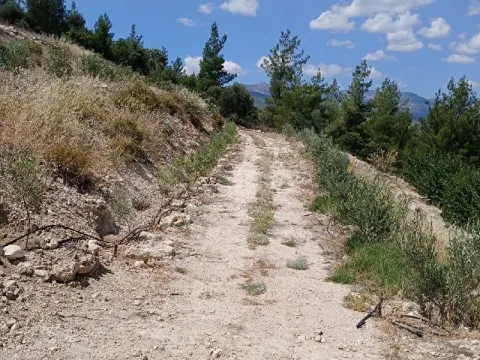 MUT HOCALI DA GÖKSUYA YAKIN 12.336 M2 ARAZİ