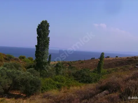 AVŞA ADASI DENİZE 200 M SATILIK İMARLI ARSA