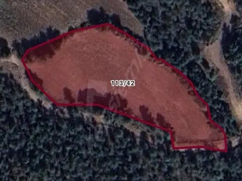 SATILIK TARLA BİLECİK GÖLPAZARI ÇİFTLİK KÖYÜ