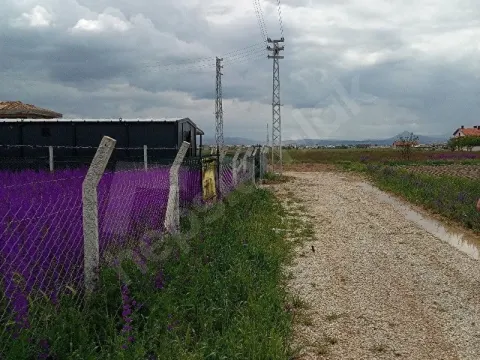 Saraçoğlunda 2 Kata İmarlı Arsa Fiyat Uygun