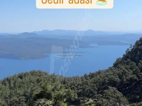 DENİZE YAKIN 300 M2 KONUT YAPI KAYIT BELGELİ SATILIK 3069 M2 ARAZİ