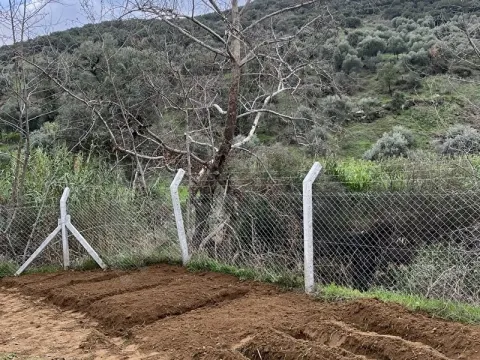 BİRGİ ÜÇKONAK MAH YOL KENARI TEK TAPU ARSA