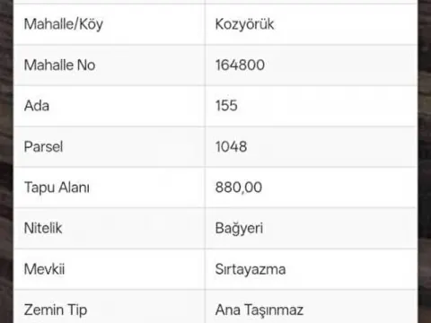 Müstakil Tapulu