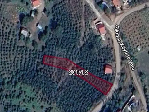 919 metre² fındıklık  tapuda ( Tarla )