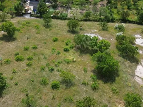 TALAS REŞADİYEDE RIZAİ TAKSİMLİ 2.468 m² SATILIK YATIRIMLIK BAĞ