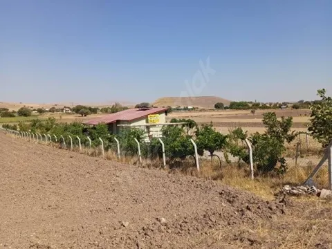 MERAM BOTSA'DA EŞİ BENZERİ ZOR BULUNAN KURULU DÜZEN BAHÇE (Şeker Suyu Oruçpınar Yolu Üzerinde)