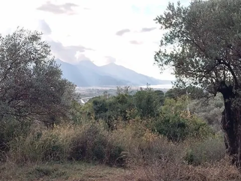 Satılık Arsa