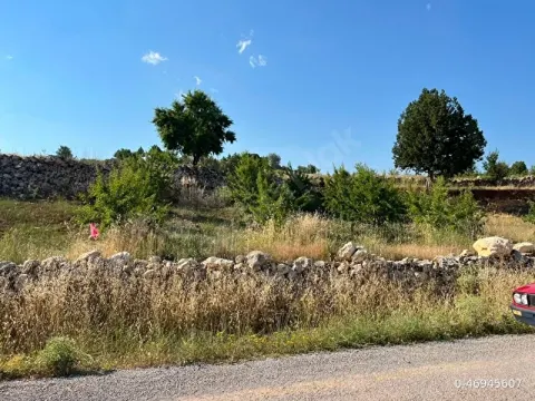 Gülnar Bardat Yaylası Pazar Yerine Yürüme Mesefesinde Yol Kenarı Badem Bahçesi