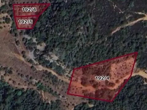 Muğla Menteşe Algı Köyünde 3390m² Satılık Tarla