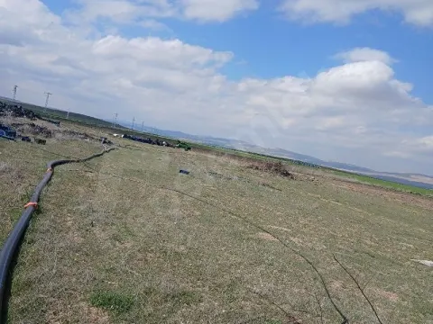 sahibinden satılık
