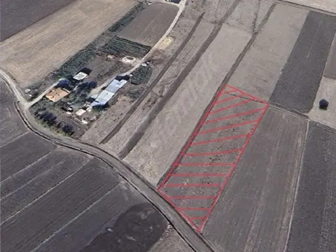 ELAZIĞ MOLLAKENDİ'DE SAHİBİNDEN 3800M² SULU TARLA
