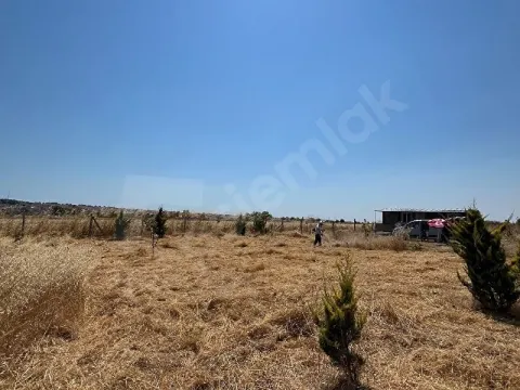 Tekirdağ Marmara Ereğlisi satılık tarla