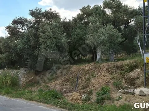 Akçaşehir Satılık İmarlı Arsa - Onaylı Projeli - Yola Sıfır 750 m2