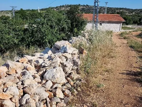 Çaltıbozkır Lavanta bahçesi parsel
