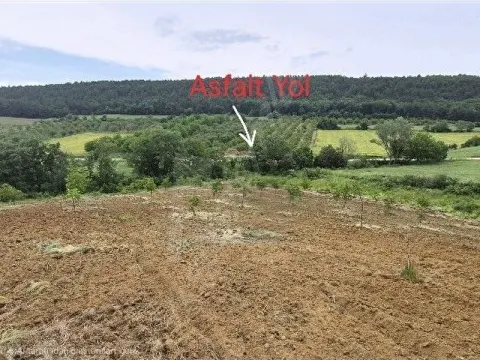 Bilecik Gölpazarı 5 dönüm bahçe