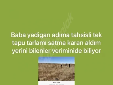 Sulu Tarla
