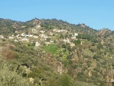 AYDIN İLİ SÖKE İLÇESİ GÜNEYYAKA MAHALLESİ SATILIK ARSA