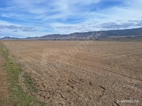 Sayibinden Satılık Tarla