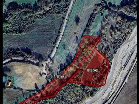 SİNOP ŞAMLIOĞLU KÖYÜ 16 DÖNÜM MEYVALIK