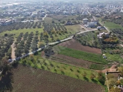 15 Daire Cıkıcak Kupan Arazi